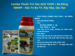 Combo Thuốc Trừ Sâu ADA THOR + Ba Đằng 500WP – Đặc Trị Bọ Trĩ, Rầy Rệp, Sâu Hại