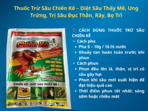 Thuốc Trừ Sâu Chiến Kê – Diệt Sâu Thấy Mê, Ung Trứng, Trị Sâu Đục Thân, Rầy, Bọ Trĩ