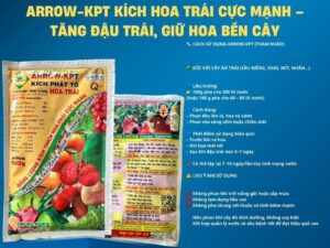 ARROW-KPT KÍCH PHÁT TỐ HOA TRÁI – TĂNG ĐẬU HOA, ĐẬU TRÁI, CHỐNG RỤNG HOA TRÁI NON