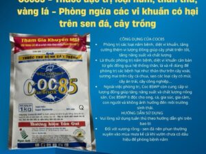 COC85 1KG – Thuốc Trừ Bệnh Nấm, Thán Thư, Vàng Lá, Thối Trái | Đồng Oxychloride 85WP
