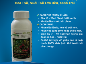 CanXiBo DVX – KTC02 500ml Chống Rụng Hoa Trái, Nuôi Trái Lớn Đều, Xanh Trái