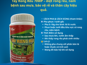 Tẩy Rong Rêu 70WP – Sạch Rong Rêu, Diệt Nấm Bệnh Sau Mưa