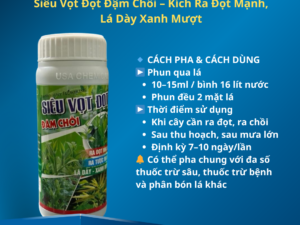 Siêu Vọt Đọt Đậm Chồi – Kích Ra Đọt Mạnh, Lá Dày Xanh Mượt