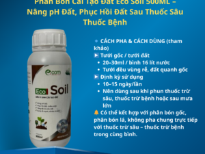 Phân Bón Cải Tạo Đất Eco Soil 500ML – Nâng pH Đất, Phục Hồi Đất Sau Thuốc Sâu Thuốc Bệnh