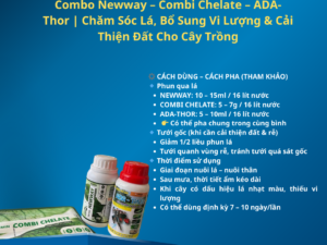 Combo Newway – Combi Chelate – ADA-Thor | Chăm Sóc Lá, Bổ Sung Vi Lượng & Cải Thiện Đất Cho Cây Trồng