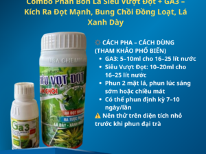 Combo Phân Bón Lá Siêu Vượt Đọt + GA3 – Kích Ra Đọt Mạnh, Bung Chồi Đồng Loạt, Lá Xanh Dày
