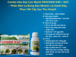 Combo Kéo Đọt Cực Mạnh PROFARM N30 + GA3 – Phân Bón Lá Bung Đọt Nhanh, Lá Xanh Dày, Phục Hồi Cây Sau Thu Hoạch