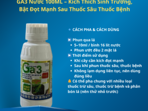 GA3 Nước 100ML – Kích Thích Sinh Trưởng, Bật Đọt Mạnh Sau Thuốc Sâu Thuốc Bệnh