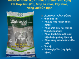 Antracol 70WP 1kg – Thuốc Trừ Bệnh Phổ Rộng Kết Hợp Kẽm (Zn), Giúp Lá Khỏe, Cây Khỏe, Năng Suất Ổn Định