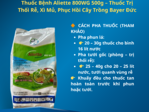 Thuốc Bệnh Aliette 800WG 500g – Thuốc Trị Thối Rễ, Xì Mủ, Phục Hồi Cây Trồng Bayer Đức